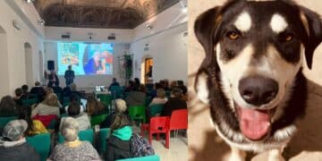 Quartu, gli animali al centro della comunità: presto un’oasi dedicata ai cani