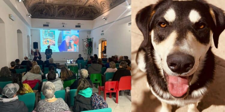 Quartu, gli animali al centro della comunità: presto un’oasi dedicata ai cani