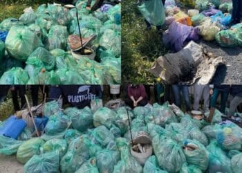 Blitz degli ambientalisti a Giorgino, raccolti ben 500 chili di immondizia