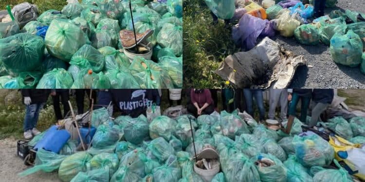 Blitz degli ambientalisti a Giorgino, raccolti ben 500 chili di immondizia