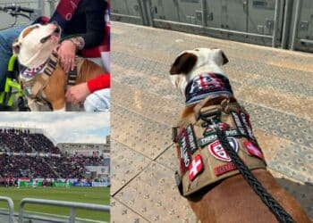 Allo stadio per la prima volta come accompagnatore speciale: ieri Pallino alla Unipol Domus
