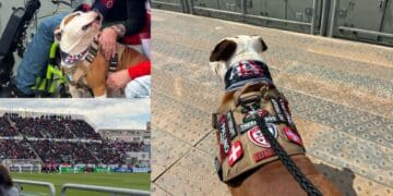 Allo stadio per la prima volta come accompagnatore speciale: ieri Pallino alla Unipol Domus