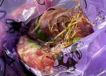 Polpette nascoste sotto l’erba a Quartello, forse bocconi avvelenati per i cani