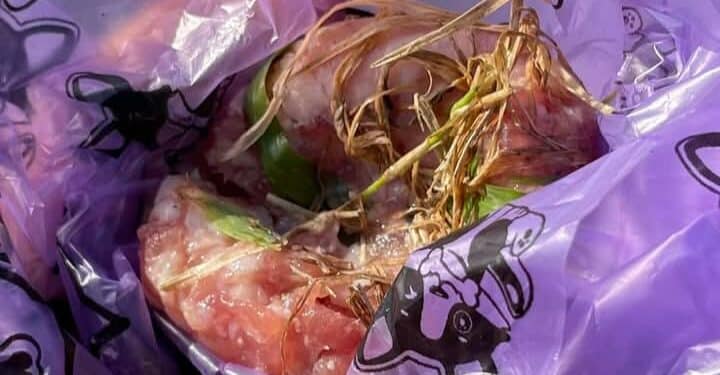 Polpette nascoste sotto l’erba a Quartello, forse bocconi avvelenati per i cani