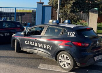 Pula, sequestrata dai Nas una macelleria con ristorante abusivo