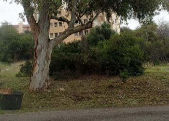 Cagliari, via erba e cespugli da Mulinu Becciu: sforbiciata ai nascondigli del maniaco