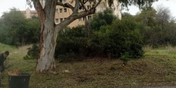 Cagliari, via erba e cespugli da Mulinu Becciu: sforbiciata ai nascondigli del maniaco