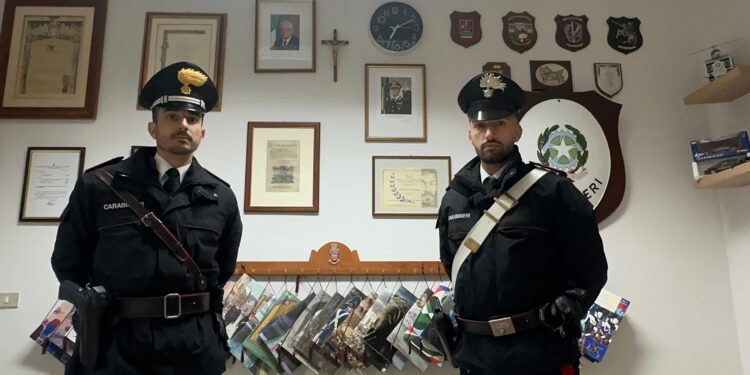 Munizioni illegali nell’ovile, pastore 36enne arrestato a Gonnosfanadiga