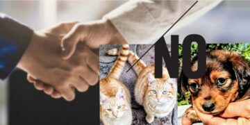 Cagliari, quasi impossibile trovare un affitto se hai un cane o un gatto: “Separarsi da loro? E’ inaccettabile”