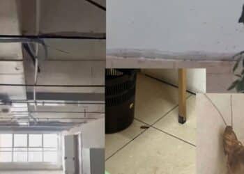 Emergenza sanitaria e degrado all’Istituto Michele Giua di Pirri: blatte e termiti “ballano” accanto agli alunni (VIDEO)