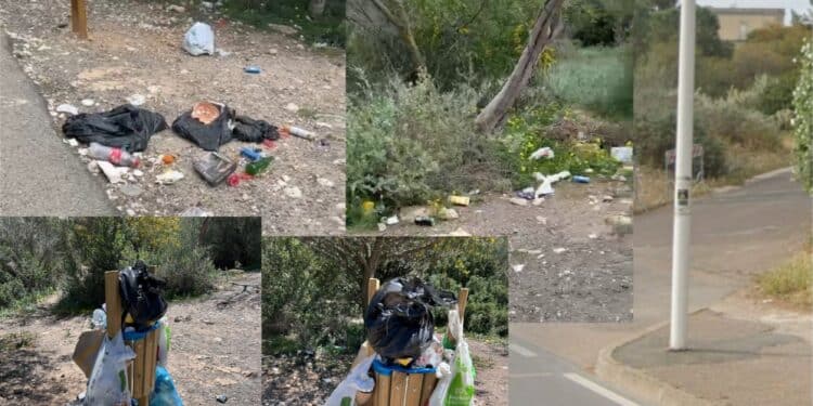 Ma che bella passeggiata da Calamosca al faro: “Guardate, la strada è letteralmente invasa da mesi dai rifiuti”