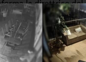 Furto nella notte da “eTrigu” in viale Diaz: il ladro arrestato grazie alle tracce lasciate sul posto