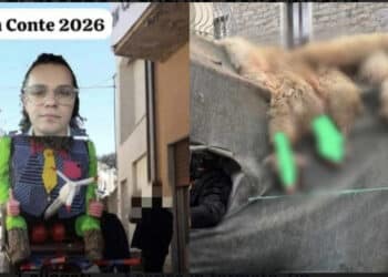 Rizzi, “un chiaro messaggio di morte nei miei confronti”: dopo la denuncia degli animali morti esposti durante il carnevale, l’attivista preso di mira