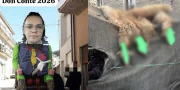 Rizzi, “un chiaro messaggio di morte nei miei confronti”: dopo la denuncia degli animali morti esposti durante il carnevale, l’attivista preso di mira