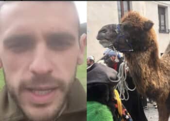 Ovodda, “c’è chi porta a passeggio il cane, a noi piace andare in giro con i cammelli”