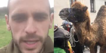 Ovodda, “c’è chi porta a passeggio il cane, a noi piace andare in giro con i cammelli”