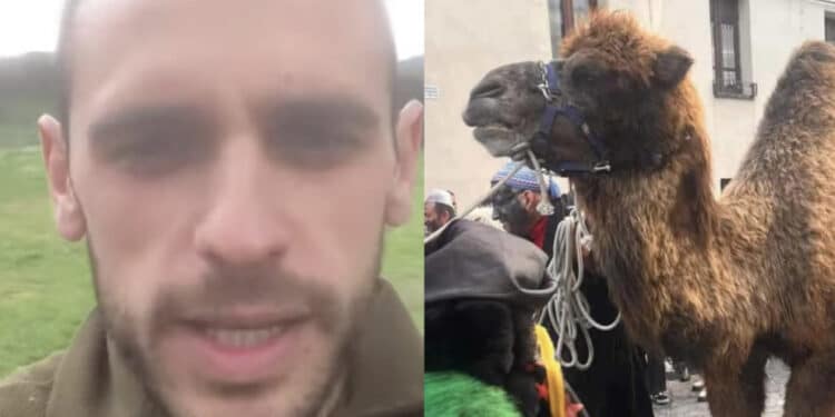 Ovodda, “c’è chi porta a passeggio il cane, a noi piace andare in giro con i cammelli”