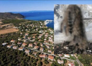 Sarroch, “il gatto non è stato ucciso ma trovato morto e appoggiato sui ferri”
