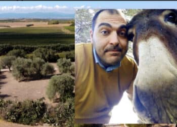 A Serdiana gli animali fanno ufficialmente parte della comunità: approvato il regolamento per i diritti di tutte le specie viventi