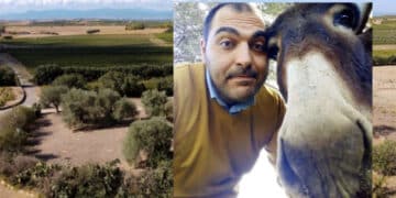 A Serdiana gli animali fanno ufficialmente parte della comunità: approvato il regolamento per i diritti di tutte le specie viventi