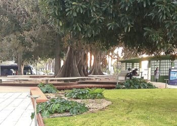 Cagliari, rissa in piazza Matteotti: finanziere interviene e viene accecato con lo spray al peperoncino