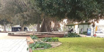 Cagliari, rissa in piazza Matteotti: finanziere interviene e viene accecato con lo spray al peperoncino