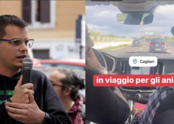 Cagliari, tutto pronto per la manifestazione in piazza Yenne, il popolo degli animalisti è chiamato a raccolta da Rizzi