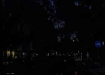 Cagliari al buio: lampioni spenti e alberi invadenti, scatta l’interrogazione in Consiglio