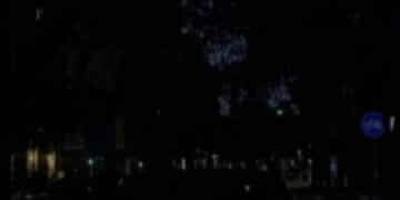 Cagliari al buio: lampioni spenti e alberi invadenti, scatta l’interrogazione in Consiglio