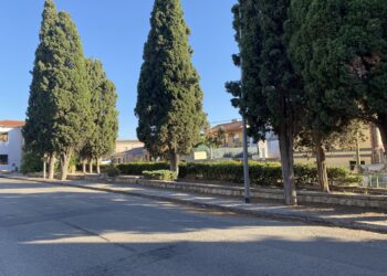 Sanluri, il restyling di piazza Mazzini assicura lunga vita ai cipressi storici