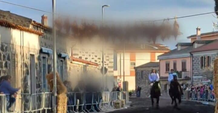 Polli morti appesi a un cavo in attesa di essere decapitati: tutti contro “Su Puddu” di Sedilo