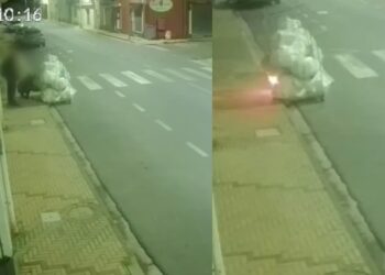 Sestu, incendiano sacchi di immondizia sul ciglio della strada alle 4 del mattino