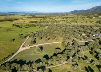 Villamassargia, a casa Fenu il 7 marzo incontro-dibattito ‘Riflessioni in autonomia’