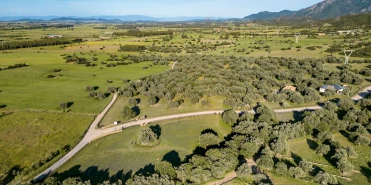 Villamassargia, a casa Fenu il 7 marzo incontro-dibattito ‘Riflessioni in autonomia’