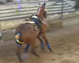 “La Sartiglia di Oristano manifestazione storica ma non si può ignorare la sofferenza dei cavalli”