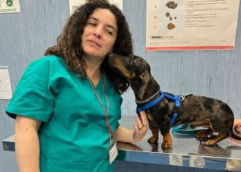 A Radio Zampetta Sarda la dieta bilanciata per cani e gatti con i consigli della Prof.ssa Cappai
