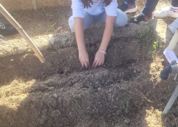 Sanluri, i piccoli delle scuole elementari diventano agricoltori