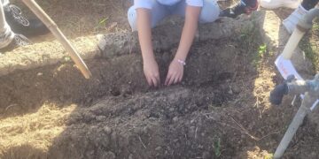 Sanluri, i piccoli delle scuole elementari diventano agricoltori