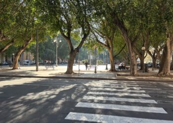 Piazza del Carmine, mai più del “crimine”: un palco e concerti ogni giorno per riportare le famiglie (VIDEO)