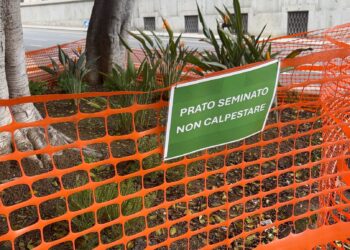 Nuovi lavori in piazza Gramsci a Cagliari, prato seminato: dopo dieci anni l’illuminazione è un optional (VIDEO)
