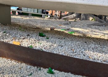 Cagliari, piazza Matteotti bersaglio degli incivili: panchine imbrattate e spazzatura dappertutto (VIDEO)