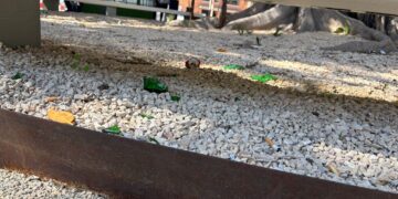 Cagliari, piazza Matteotti bersaglio degli incivili: panchine imbrattate e spazzatura dappertutto (VIDEO)