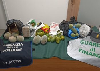 Traffico di cibo pericoloso da tutto il mondo e destinato alla Sardegna scoperto in aeroporto