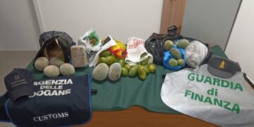 Traffico di cibo pericoloso da tutto il mondo e destinato alla Sardegna scoperto in aeroporto