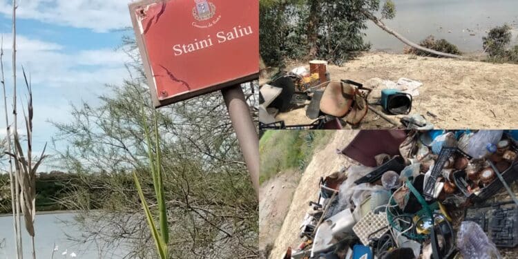 Sestu, tra i fenicotteri rosa una discarica di immondizia: a Stani Saliu l’inciviltà è di casa