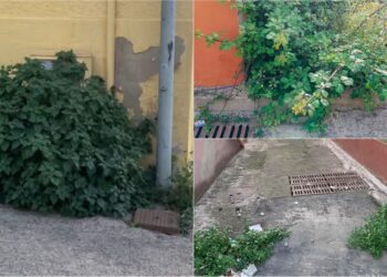 Erba alta e invadente in centro a Capoterra, i residenti insorgono