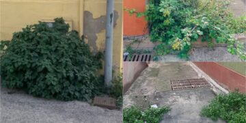 Erba alta e invadente in centro a Capoterra, i residenti insorgono