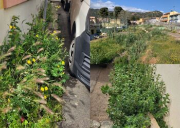 Fauna e flora senza controllo a Capoterra, protestano i residenti