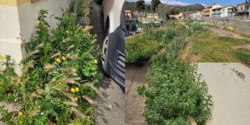 Fauna e flora senza controllo a Capoterra, protestano i residenti
