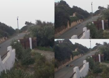 Torre delle Stelle, branco di cani attacca un gatto in mezzo alla strada: “E se ci fosse stato un bambino?”